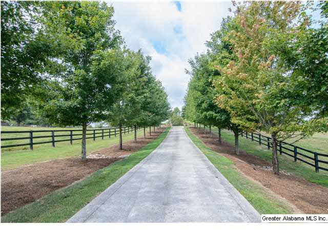 6495 County Road 51 Wilsonville, AL 35186 - Photo 32 of 32