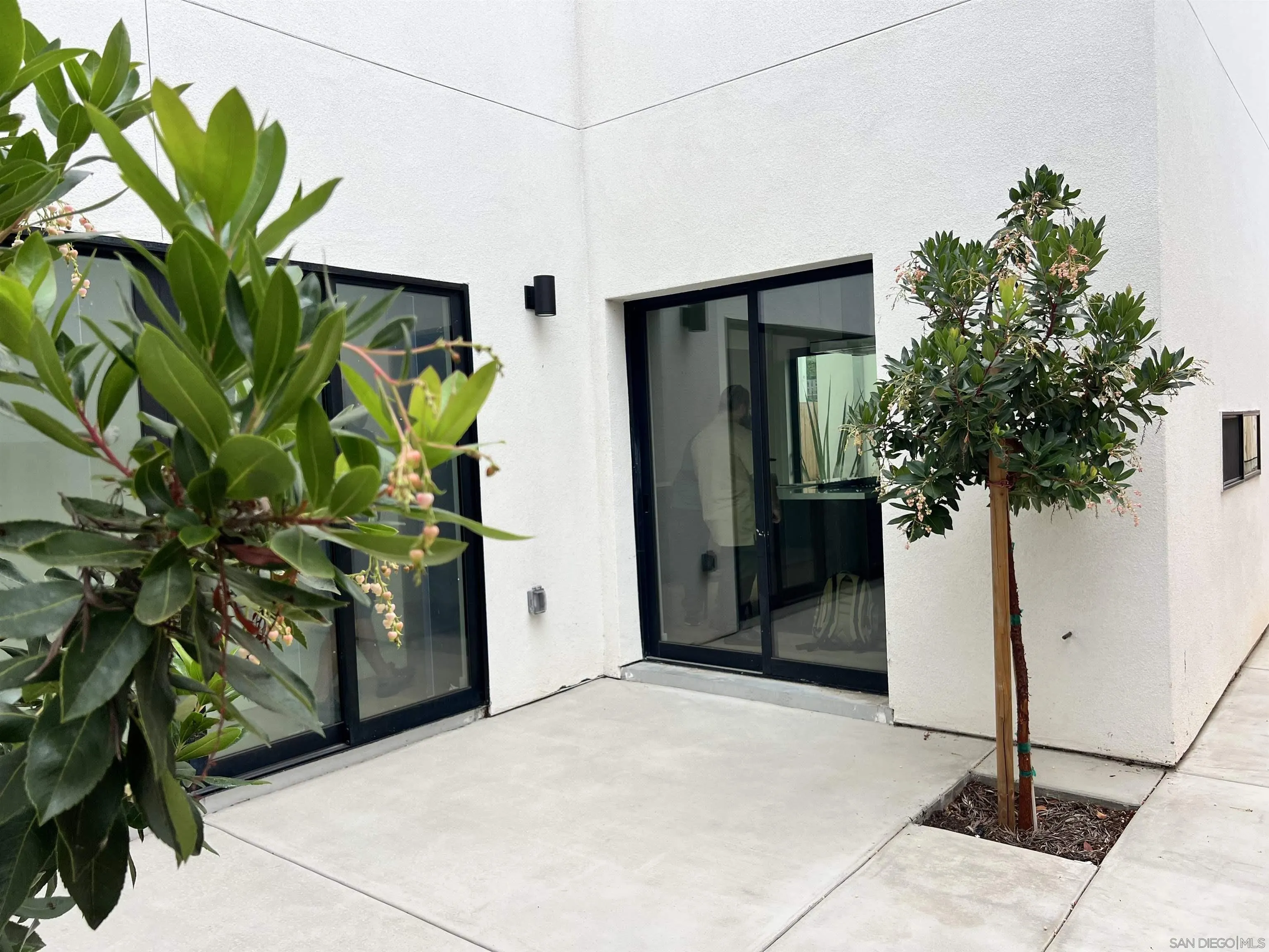 3653 Wilson Avenue San Diego, CA 92104 - Photo 13 of 60 a plant is in front of a house