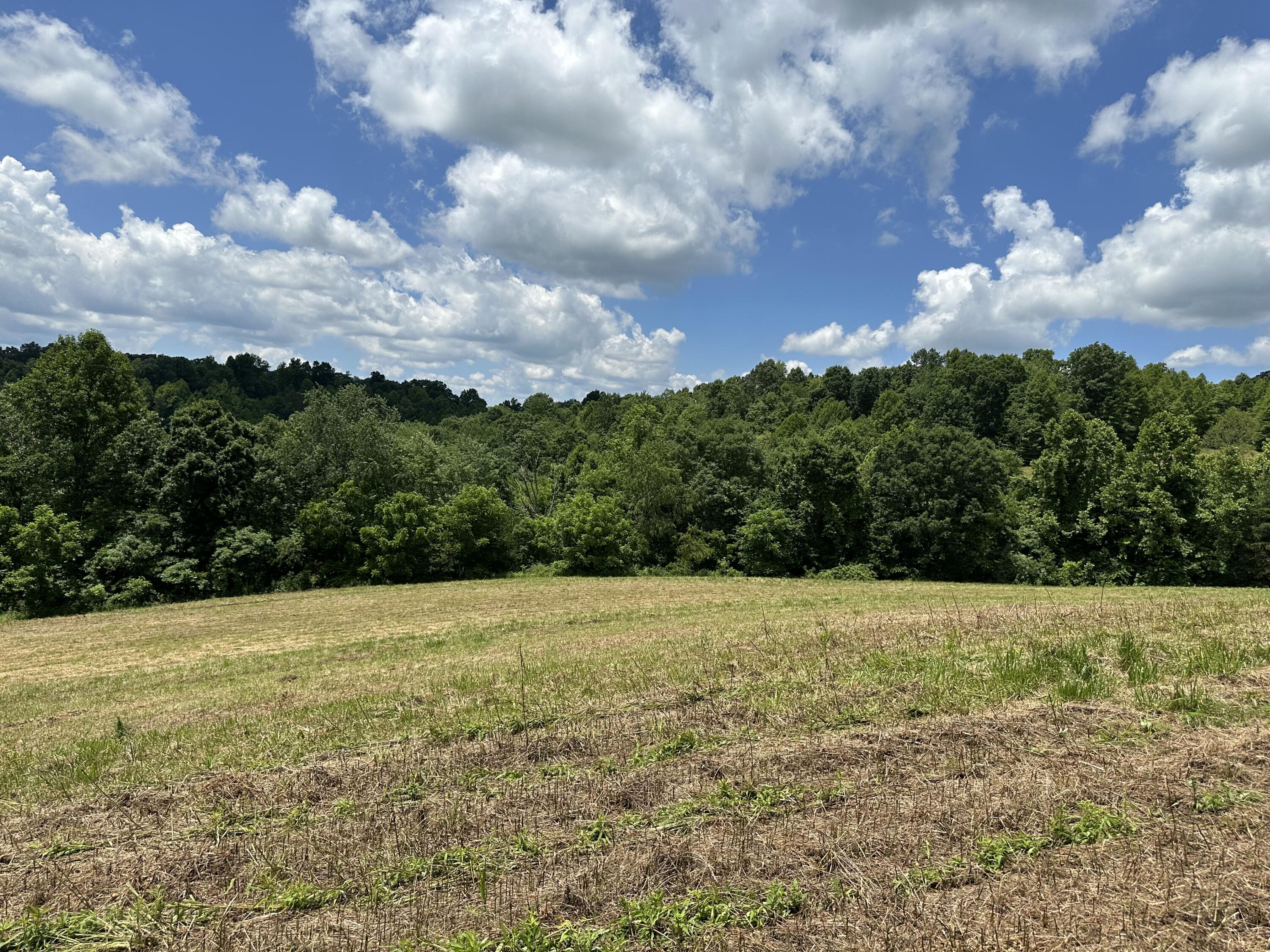 10 Elbert Shepherd Road London, KY 40741 - Photo 25 of 40 IMG_6355