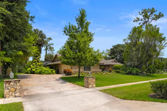 a view of a garden with plants