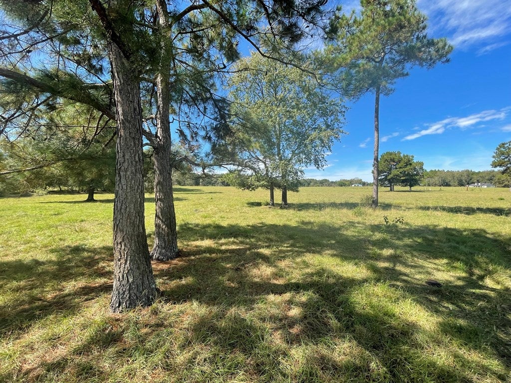 0 Five Forks Road Boston, GA 31626 - Photo 12 of 23 Gallery Image 12