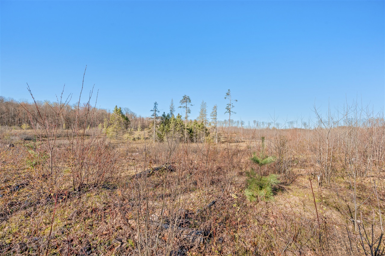 16107 12 Mile Road Leroy, MI 49655 - Photo 30 of 40 Gallery Image 30