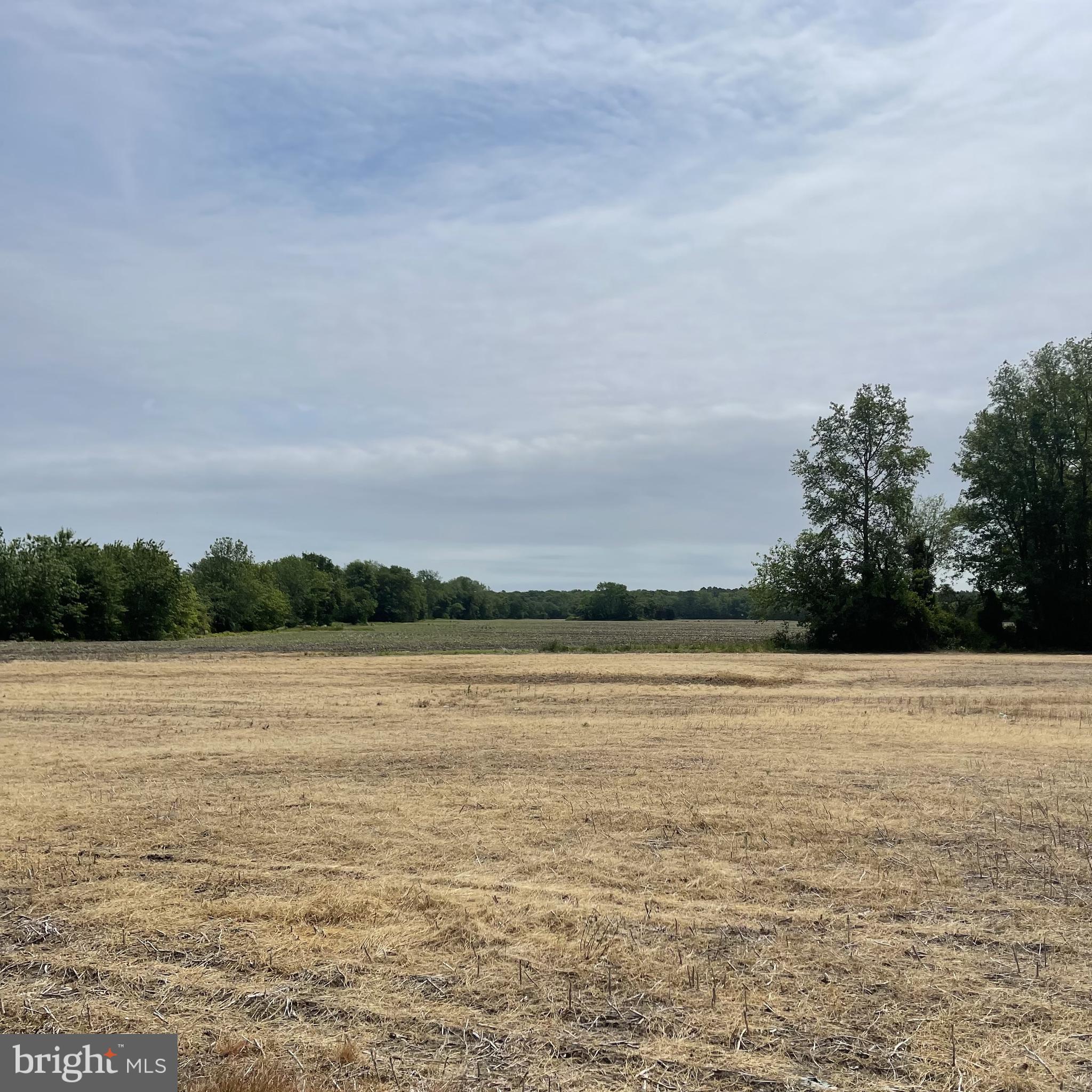 Lot 1 Roxana Road Selbyville, DE 19975 - Photo 1 of 2 Gallery Image 1