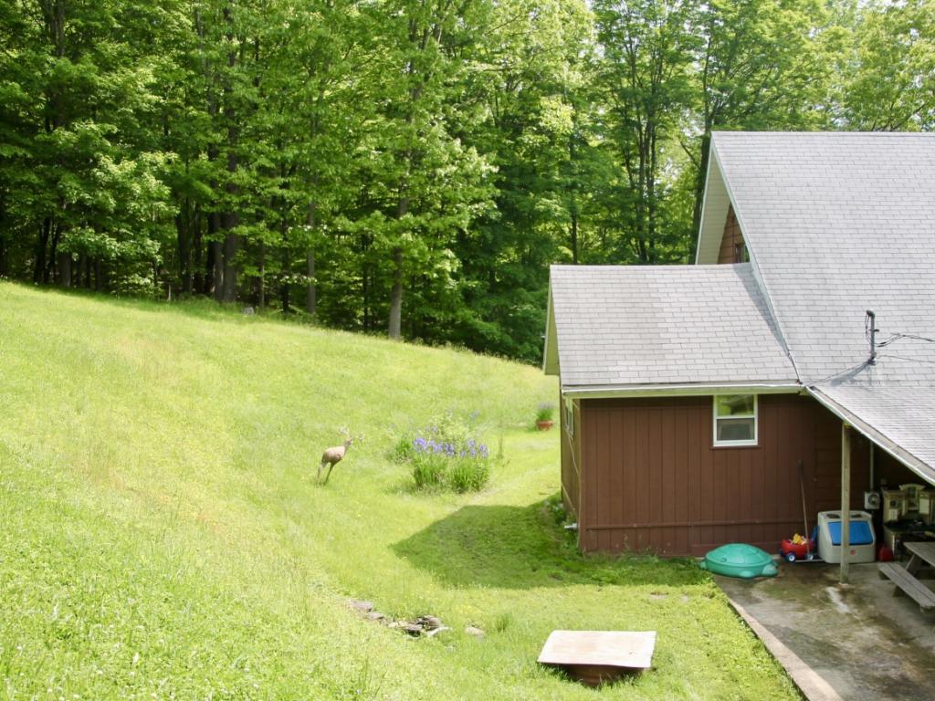 412 Anderson Road Vestal, NY 13850 - Photo 33 of 35 Gallery Image 33