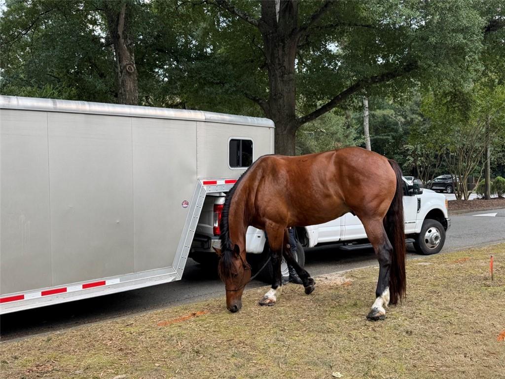 170 Elysian Way Northwest Atlanta, GA 30327 - Photo 58 of 68