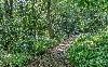 25 Lost Mine Road Ellijay, GA 30536 - Photo 4 of 4 Additional View