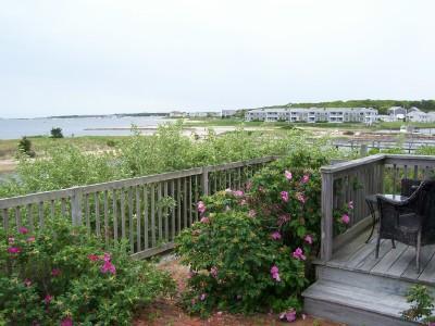 9 Windemere Road, Unit G West Yarmouth, MA 02673 - Photo 3 of 14 Additional Photo