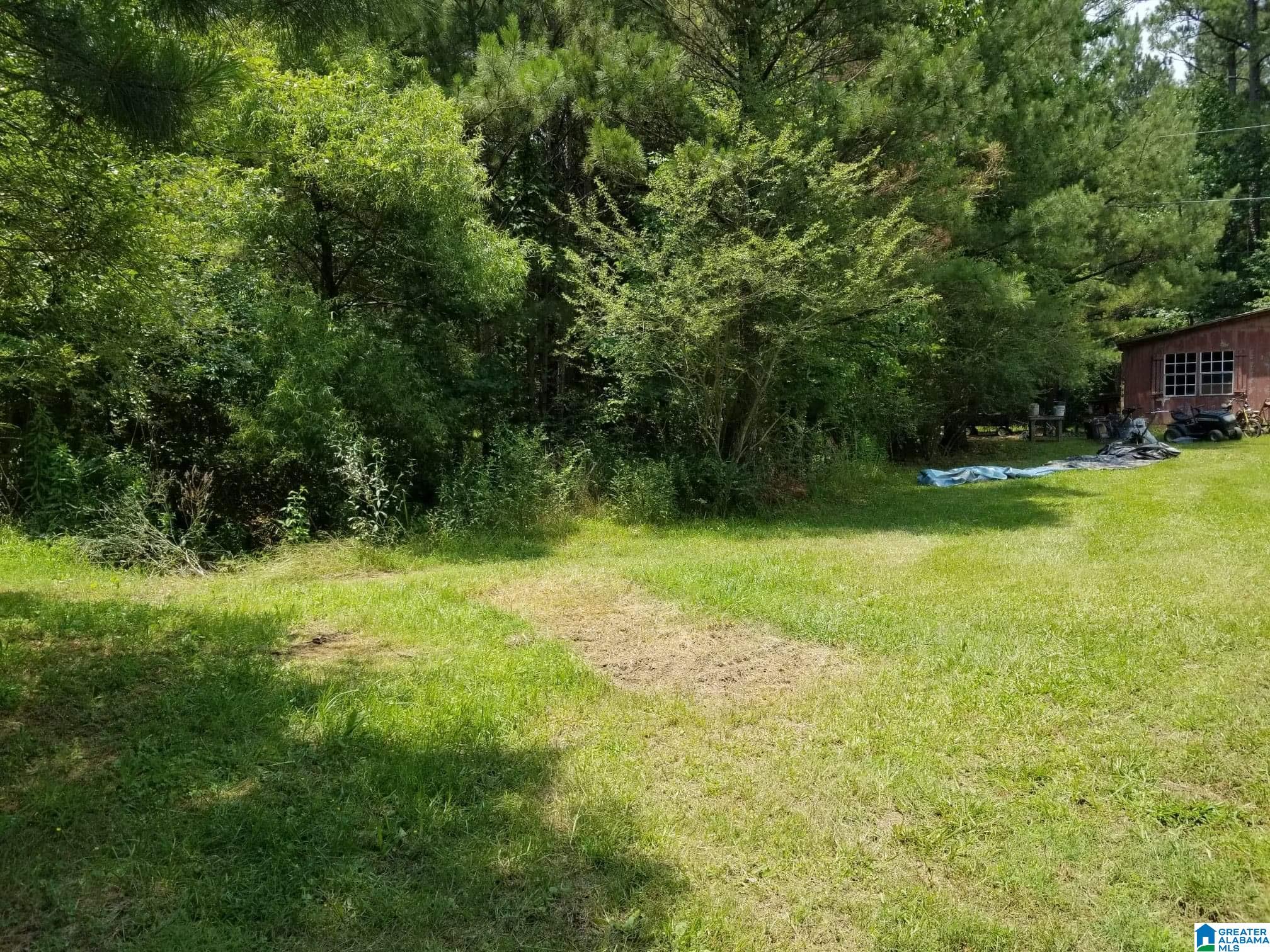Honeycutt Road Remlap, AL 35133 - Photo 3 of 24