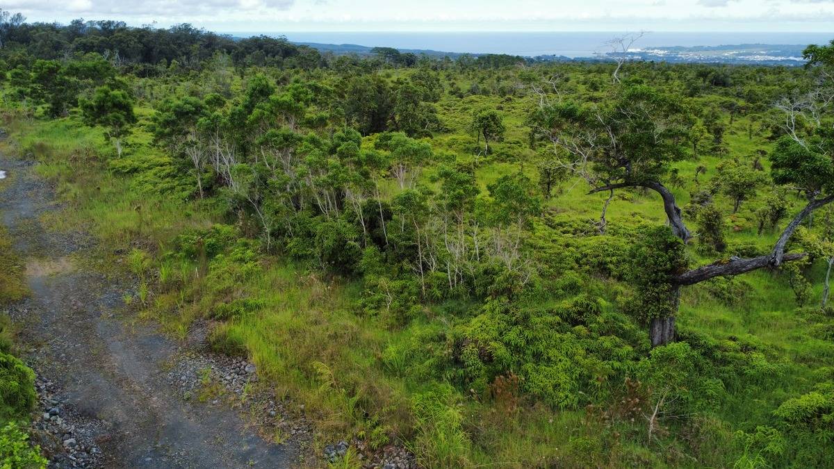 Country Club Road Hilo, HI 96720 - Photo 15 of 16