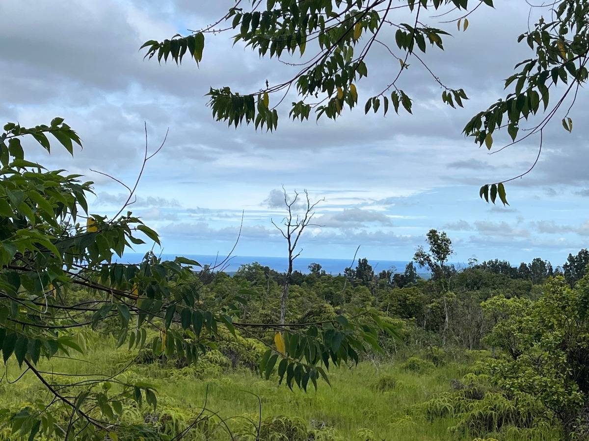 Country Club Road Hilo, HI 96720 - Photo 5 of 16