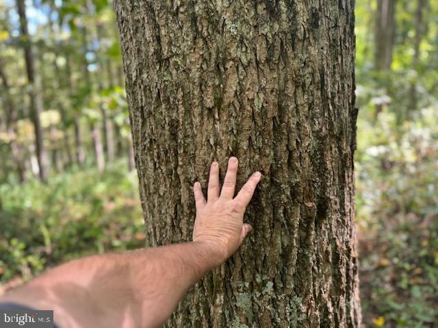 Tbd Simpson Road Belington, WV 26250 - Photo 11 of 35