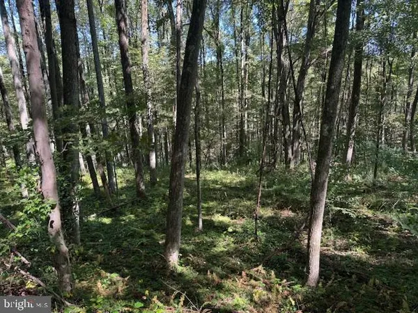 $125,000 | Tbd Simpson Road, Belington, WV 26250