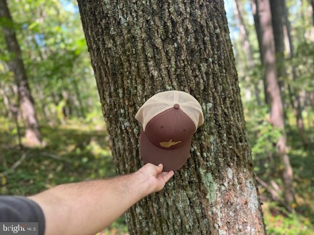 Tbd Simpson Road Belington, WV 26250 - Photo 13 of 35