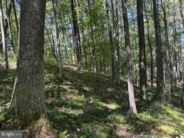 Tbd Simpson Road Belington, WV 26250 - Photo 14 of 35