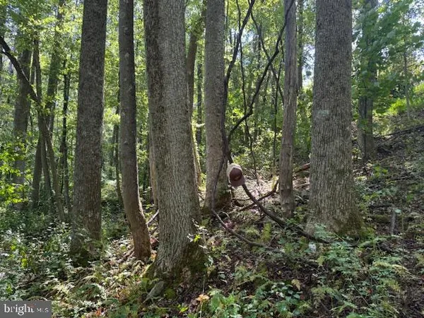 $125,000 | Tbd Simpson Road, Belington, WV 26250