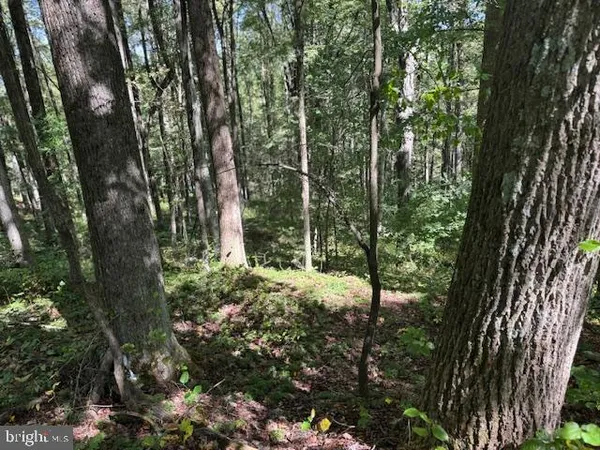 $125,000 | Tbd Simpson Road, Belington, WV 26250