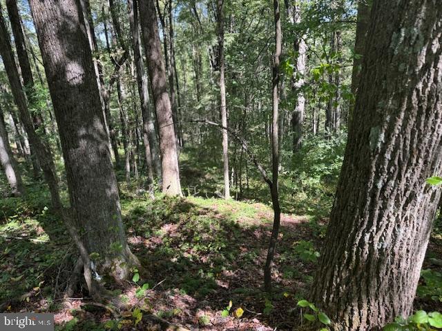 Tbd Simpson Road Belington, WV 26250 - Photo 17 of 35