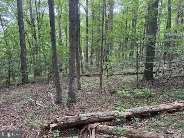 $125,000 | Tbd Simpson Road, Belington, WV 26250