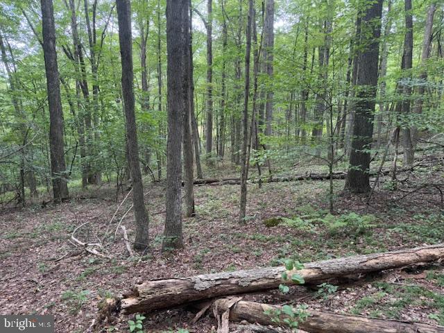 Tbd Simpson Road Belington, WV 26250 - Photo 18 of 35