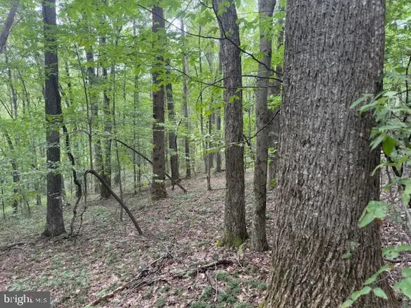 $125,000 | Tbd Simpson Road, Belington, WV 26250