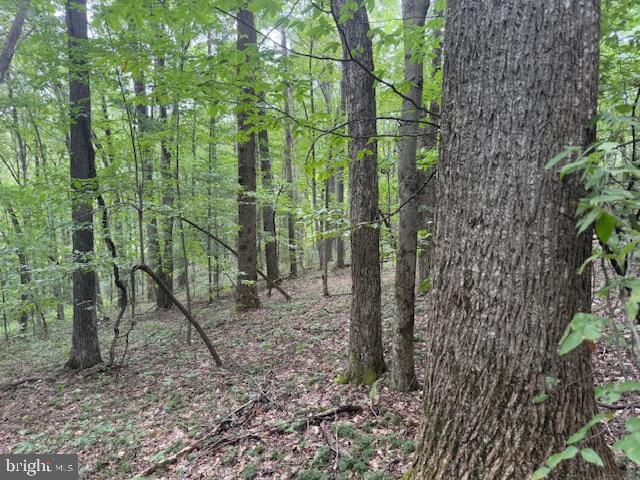 Tbd Simpson Road Belington, WV 26250 - Photo 19 of 35