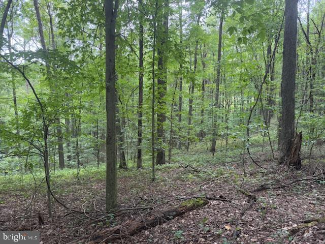 Tbd Simpson Road Belington, WV 26250 - Photo 20 of 35