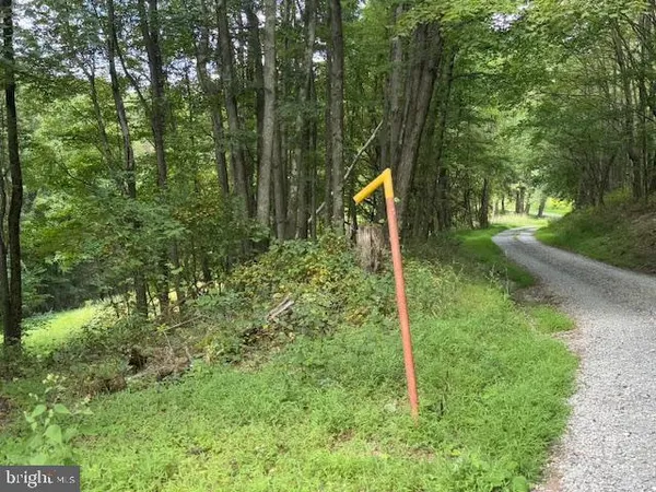 $125,000 | Tbd Simpson Road, Belington, WV 26250