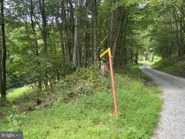 Tbd Simpson Road Belington, WV 26250 - Photo 2 of 35