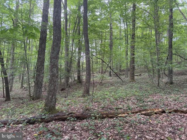 Tbd Simpson Road Belington, WV 26250 - Photo 21 of 35