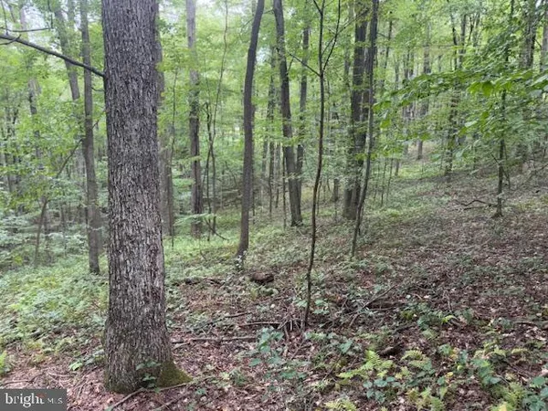 $125,000 | Tbd Simpson Road, Belington, WV 26250