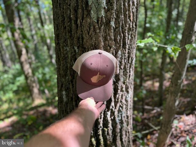 Tbd Simpson Road Belington, WV 26250 - Photo 23 of 35