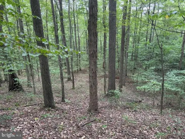 $125,000 | Tbd Simpson Road, Belington, WV 26250