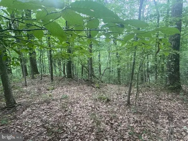 $125,000 | Tbd Simpson Road, Belington, WV 26250