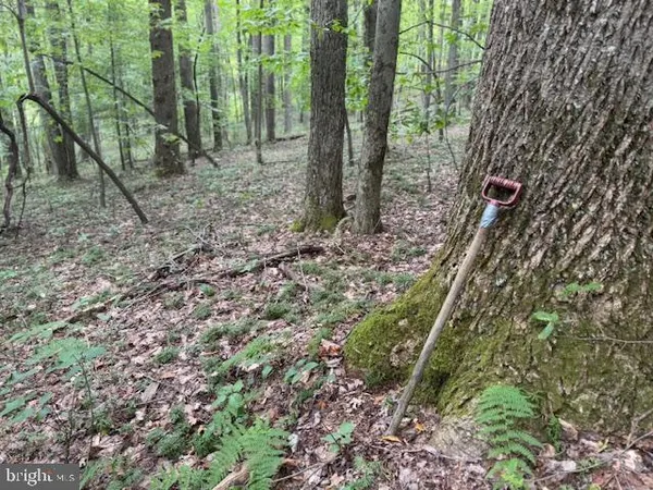 $125,000 | Tbd Simpson Road, Belington, WV 26250