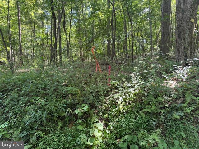 Tbd Simpson Road Belington, WV 26250 - Photo 28 of 35