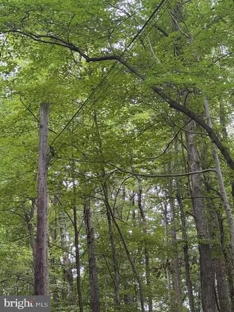 $125,000 | Tbd Simpson Road, Belington, WV 26250