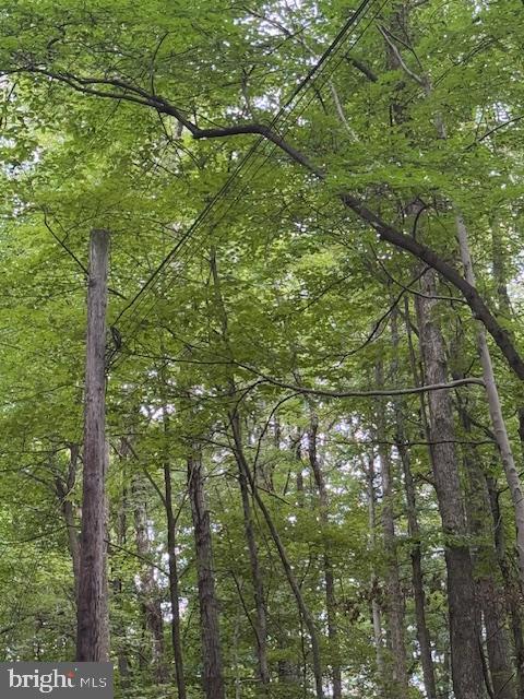 Tbd Simpson Road Belington, WV 26250 - Photo 3 of 35