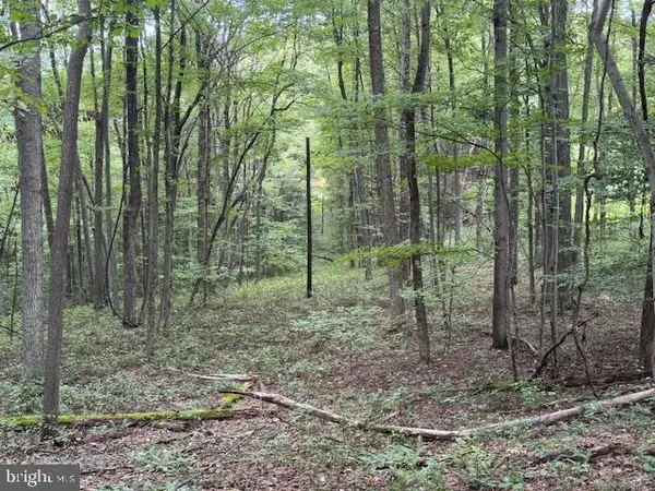 $125,000 | Tbd Simpson Road, Belington, WV 26250