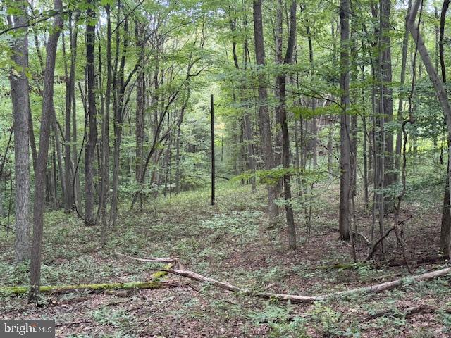 Tbd Simpson Road Belington, WV 26250 - Photo 32 of 35