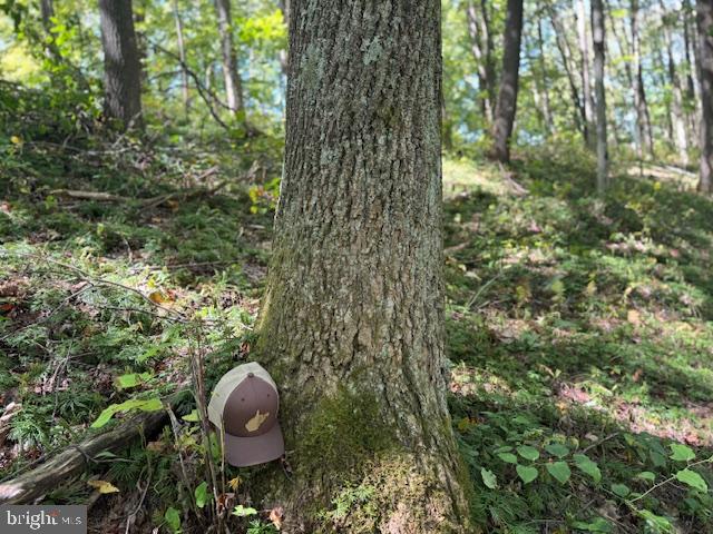 Tbd Simpson Road Belington, WV 26250 - Photo 33 of 35