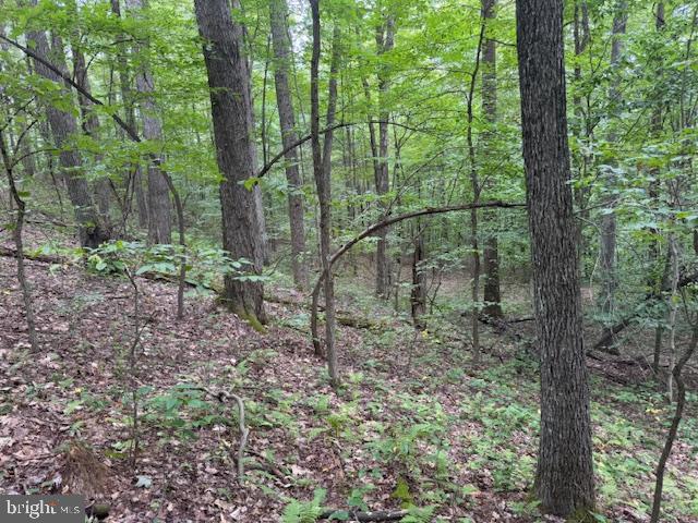 Tbd Simpson Road Belington, WV 26250 - Photo 34 of 35