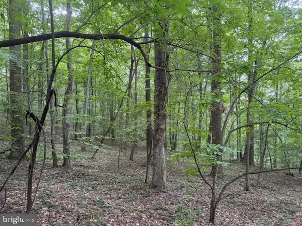 $125,000 | Tbd Simpson Road, Belington, WV 26250