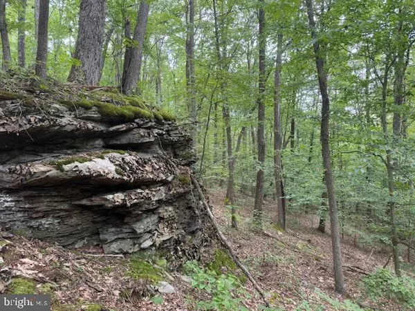 $125,000 | Tbd Simpson Road, Belington, WV 26250