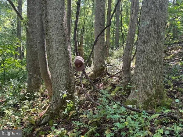 $125,000 | Tbd Simpson Road, Belington, WV 26250