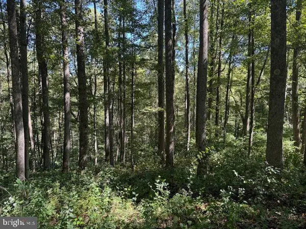 $125,000 | Tbd Simpson Road, Belington, WV 26250