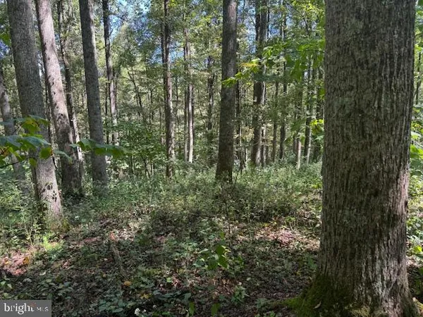 $125,000 | Tbd Simpson Road, Belington, WV 26250