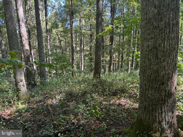 Tbd Simpson Road Belington, WV 26250 - Photo 7 of 35