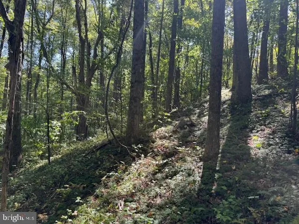 $125,000 | Tbd Simpson Road, Belington, WV 26250