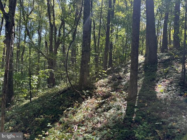 Tbd Simpson Road Belington, WV 26250 - Photo 9 of 35