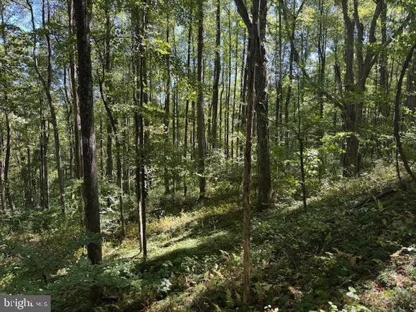$125,000 | Tbd Simpson Road, Belington, WV 26250